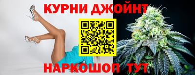 гидра Гатчина