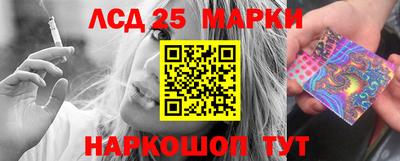 гидра Гатчина