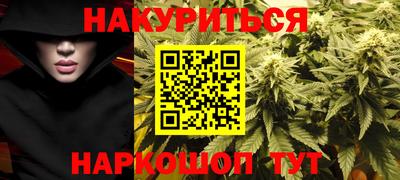 гидра Гатчина