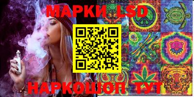 индика Гагарин