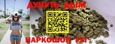 гидра Гатчина