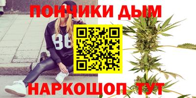 гидра Гатчина