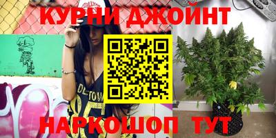 индика Гагарин