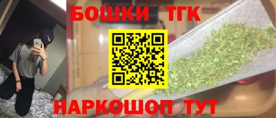 индика Гагарин