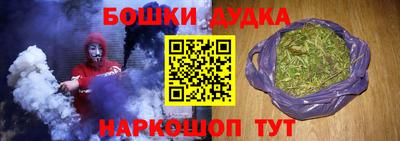 гидра Гатчина