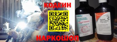 индика Гагарин