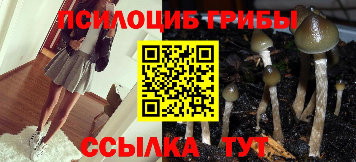 Менделеевск  наркота  Вход с VPN  Галлюциногенные грибы мицелий 