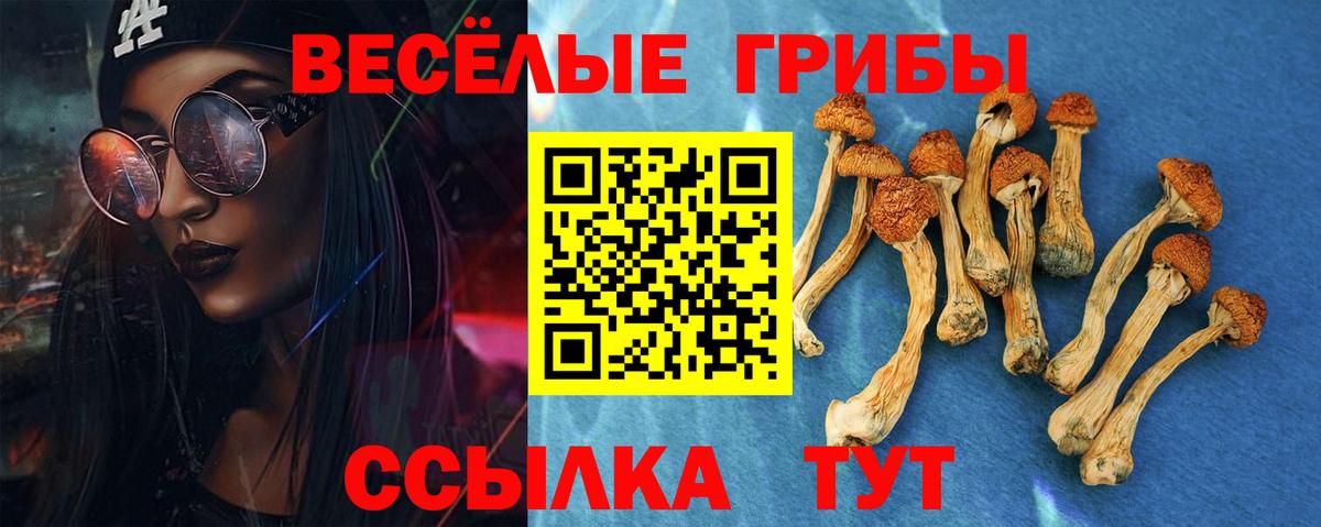 Псилоцибиновые грибы Magic Shrooms Менделеевск